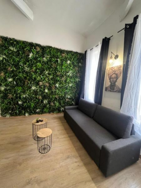 Charmant Duplex centre de nimes